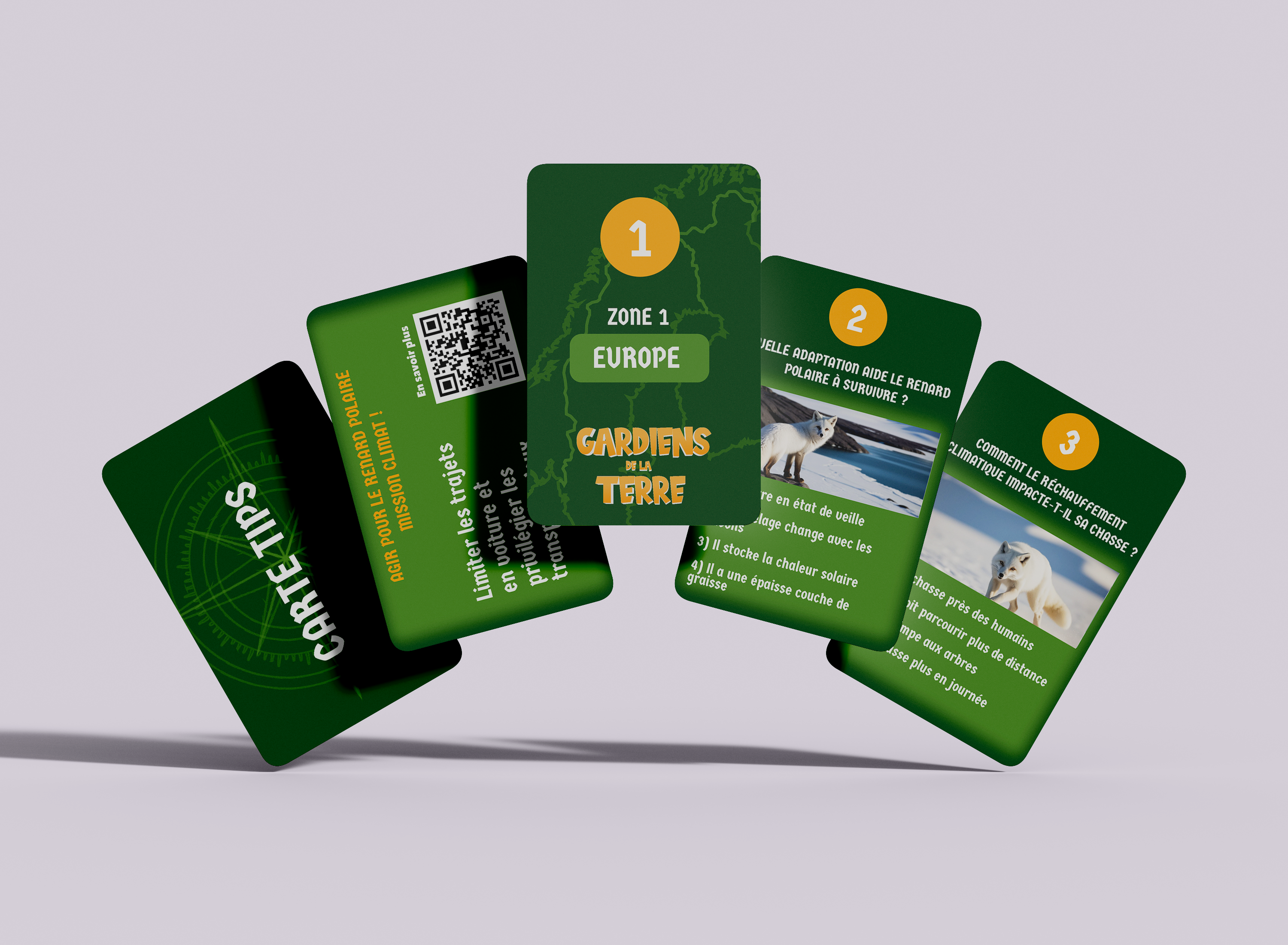 mockup carte