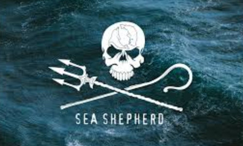 seasheperd seasheperd